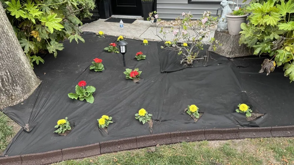 Affordable lawn care service experts serving Virginia Beach, VA - ELTD Landscapes