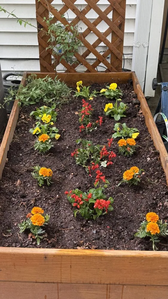 Top-rated outdoor landscaping for homes in Virginia Beach, VA by ELTD Landscapes