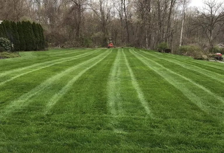 Trusted lawn mowing service for outdoor upgrades in Mount Kisco, NY by Elvin Gomez Landscaping