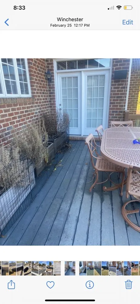 Local yard cleanup service experts serving Winchester, VA - Elvira Landscaping