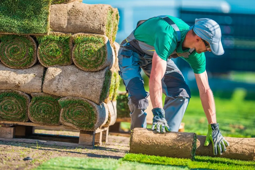 Trusted garden landscaping for residential properties in Newport, MI by Elvita