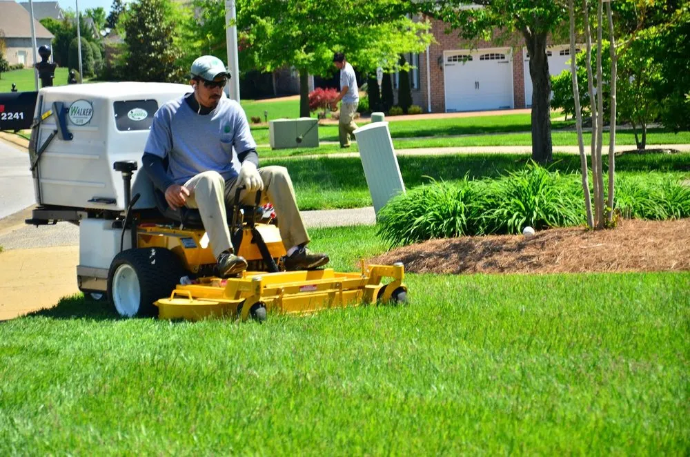 Local outdoor landscaping for residential properties in Newport, MI by Elvita