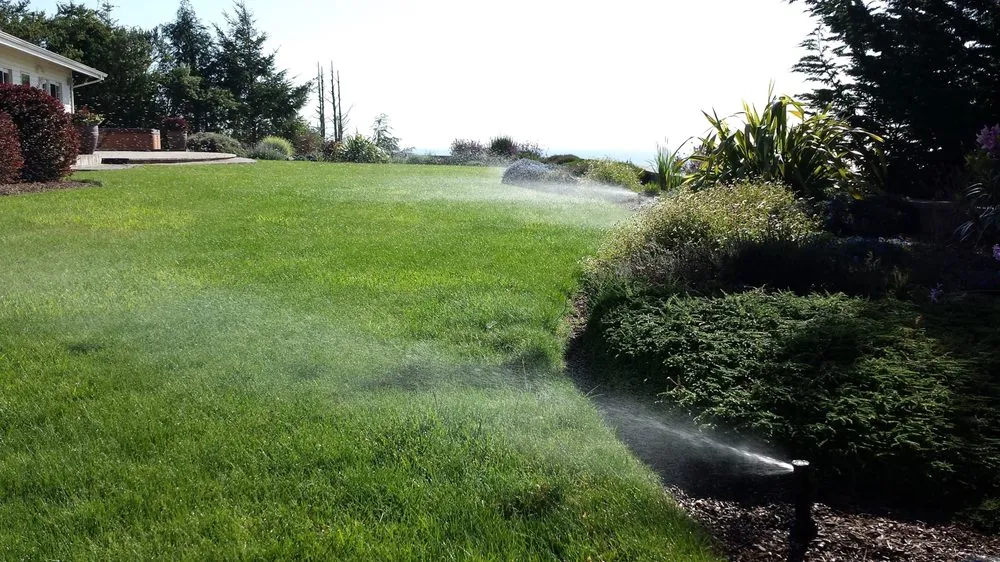 Expert lawn care service experts serving Newport, MI - Elvita
