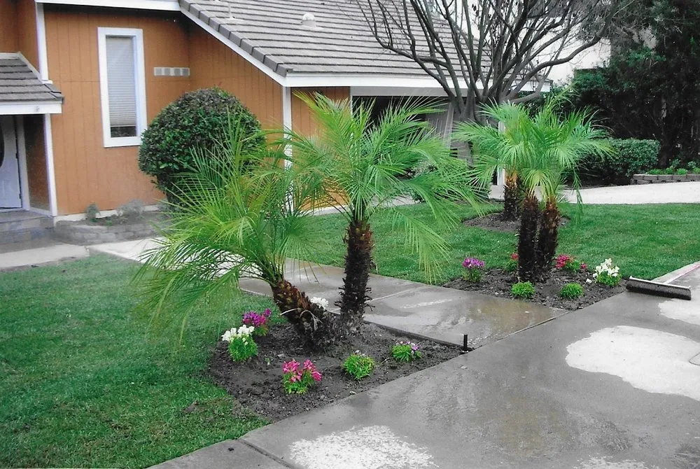 Reliable landscape installation for beautiful yards in Murrieta, CA by Ely Landscaping and Construction