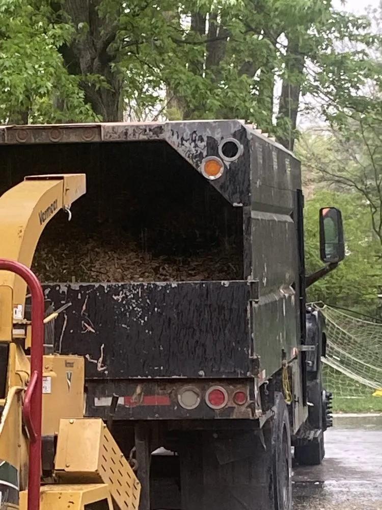 Reliable lawn care service in Gahanna, OH - Elys Tree And Landscaping