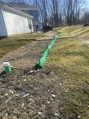 Elys Tree And Landscaping