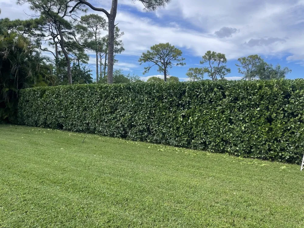 Professional lawn care service for residential properties across West Palm Beach, FL - Elysee’s Lawncare Services