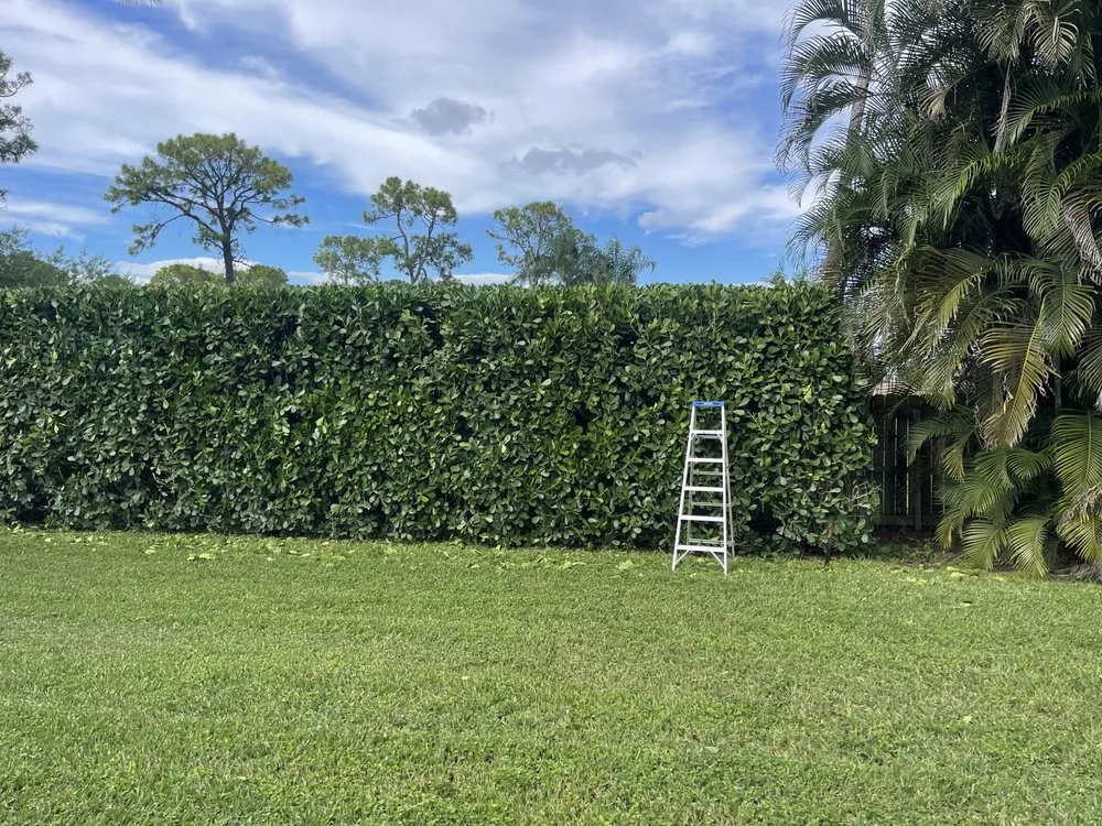 Top-rated residential landscaping in West Palm Beach, FL by Elysee’s Lawncare Services