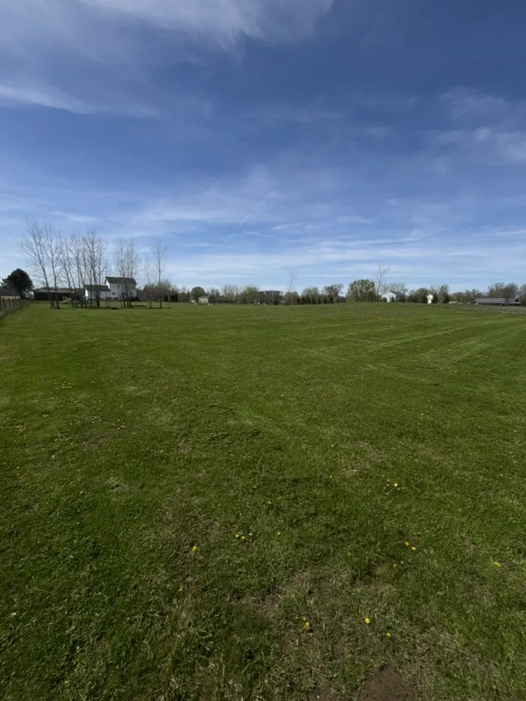 Reliable yard cleanup service in Centerburg, OH - Elysian All In 1