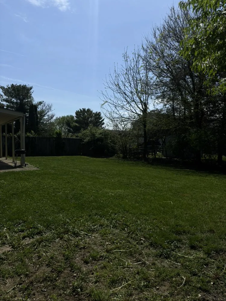 Reliable yard maintenance in Centerburg, OH by Elysian All In 1