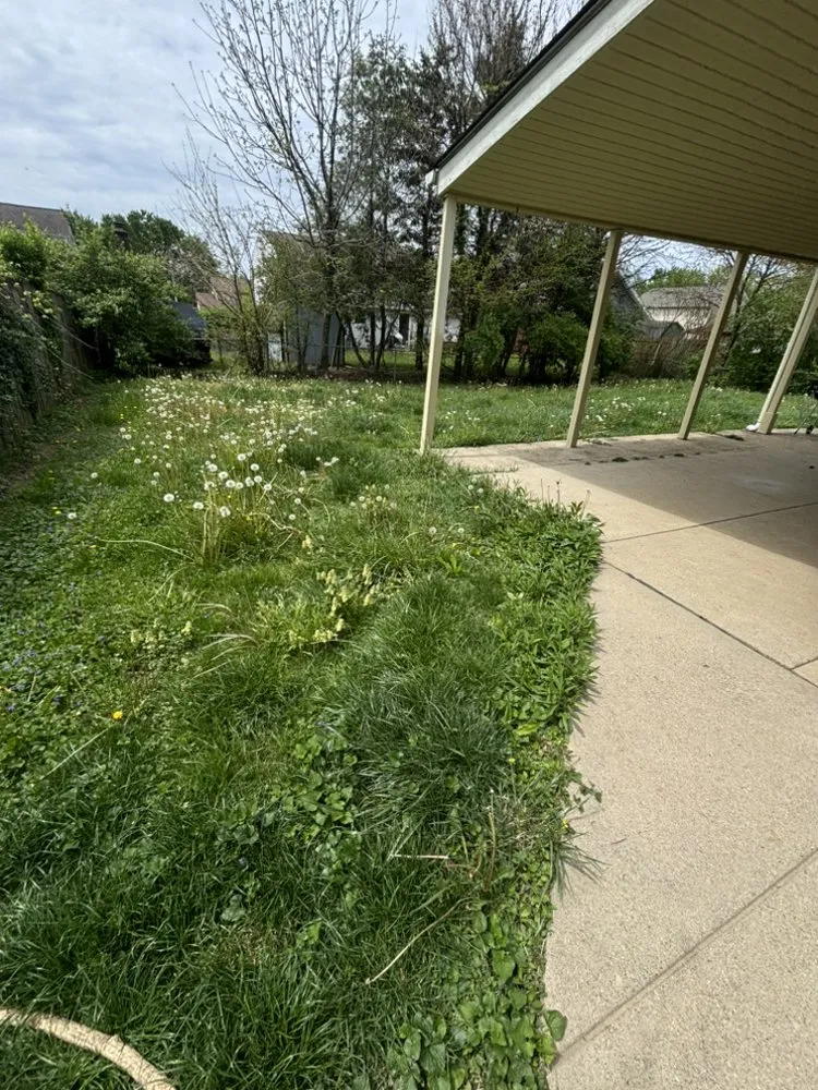 Professional outdoor landscaping for year-round maintenance in Centerburg, OH by Elysian All In 1