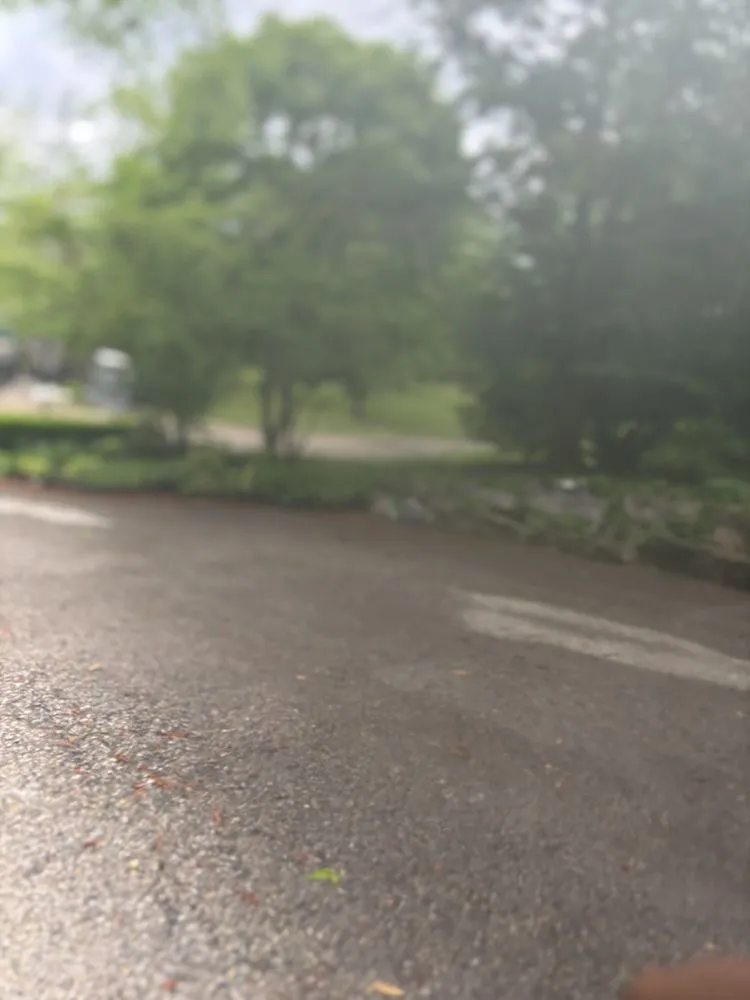 Professional lawn care service for residential properties across Centerburg, OH - Elysian All In 1