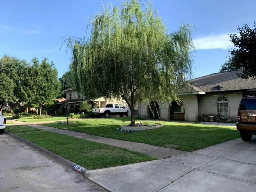 Reliable landscaping services in Magnolia, TX - Elysium Landscape and Design