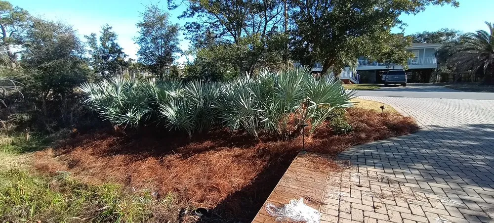 Local landscape installation experts serving Milton, FL - Elysium Landscape