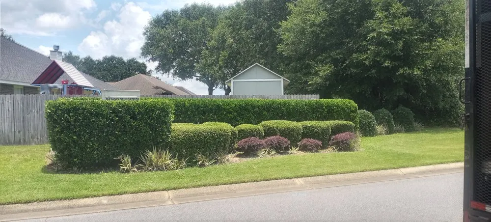 Professional landscape installation for beautiful yards across Milton, FL - Elysium Landscape