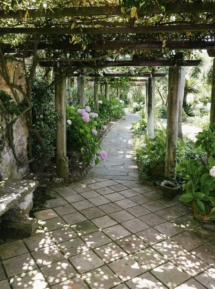 Expert lawn care service for beautiful yards across Delmar, MD - Elzey Services