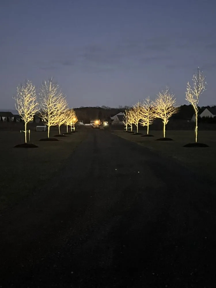 Custom yard cleanup service for homes in Delmar, MD by Elzey Services