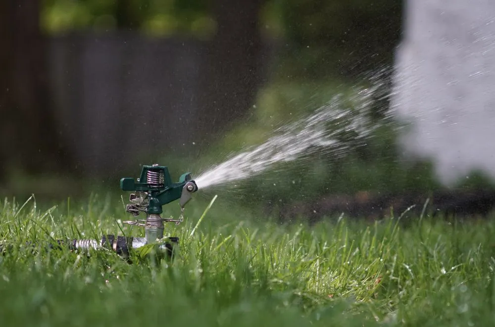 Affordable lawn care service in Delmar, MD by Elzey Services