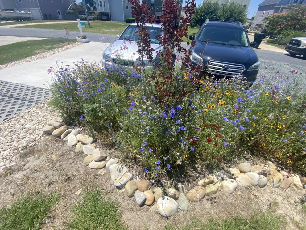 Custom lawn care service experts serving Kill Devil Hills, NC - EM & J Projects