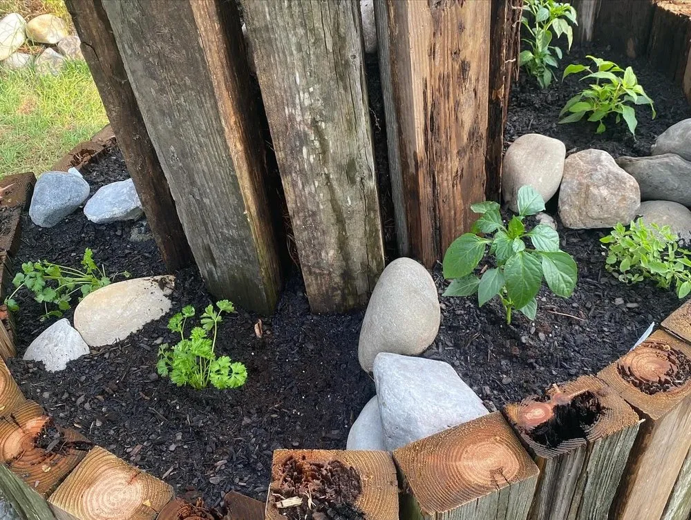 Affordable lawn mowing service in Kill Devil Hills, NC by EM & J Projects