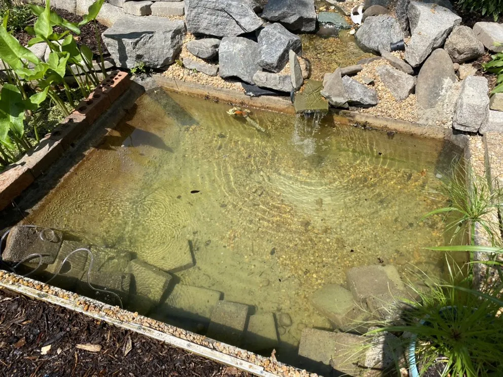 Affordable yard maintenance for residential properties in Kill Devil Hills, NC by EM & J Projects