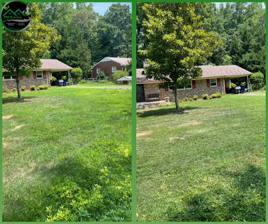 Affordable lawn mowing service in Burlington, NC by EM Exterior Cleaning