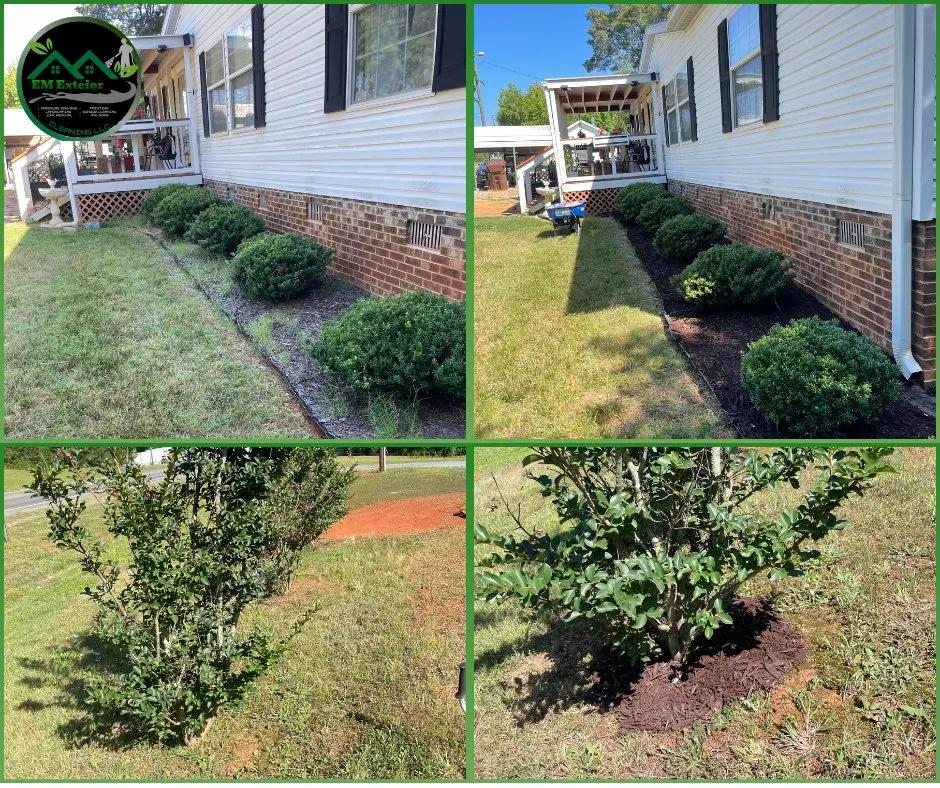 Custom yard maintenance in Burlington, NC by EM Exterior Cleaning