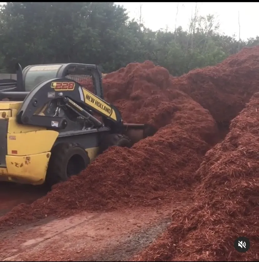 Expert yard maintenance in Wake Forest, NC - EM Horton Trucking