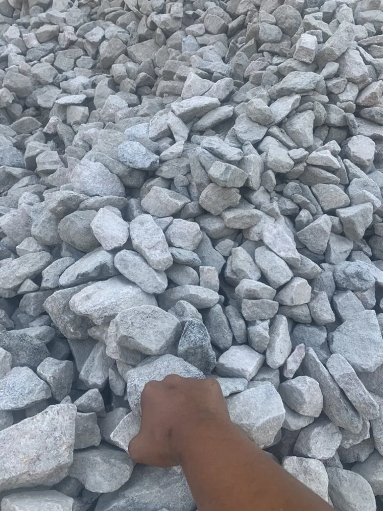 Professional yard cleanup service experts serving Wake Forest, NC - EM Horton Trucking