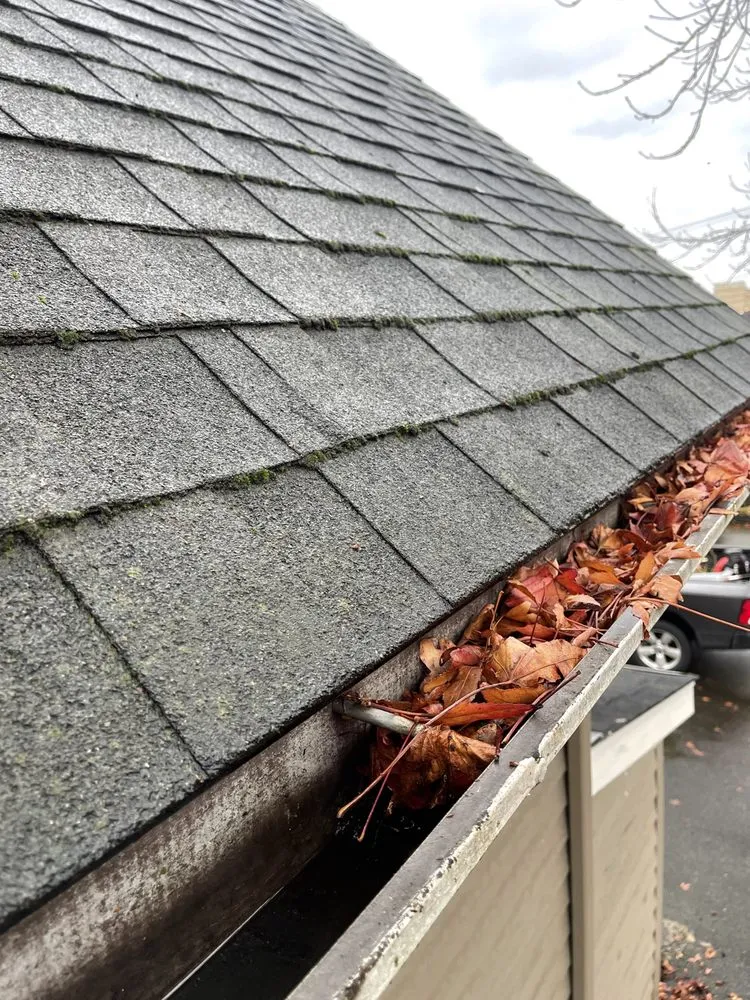 Affordable lawn care service for residential properties in Everett, WA by EM Landcare