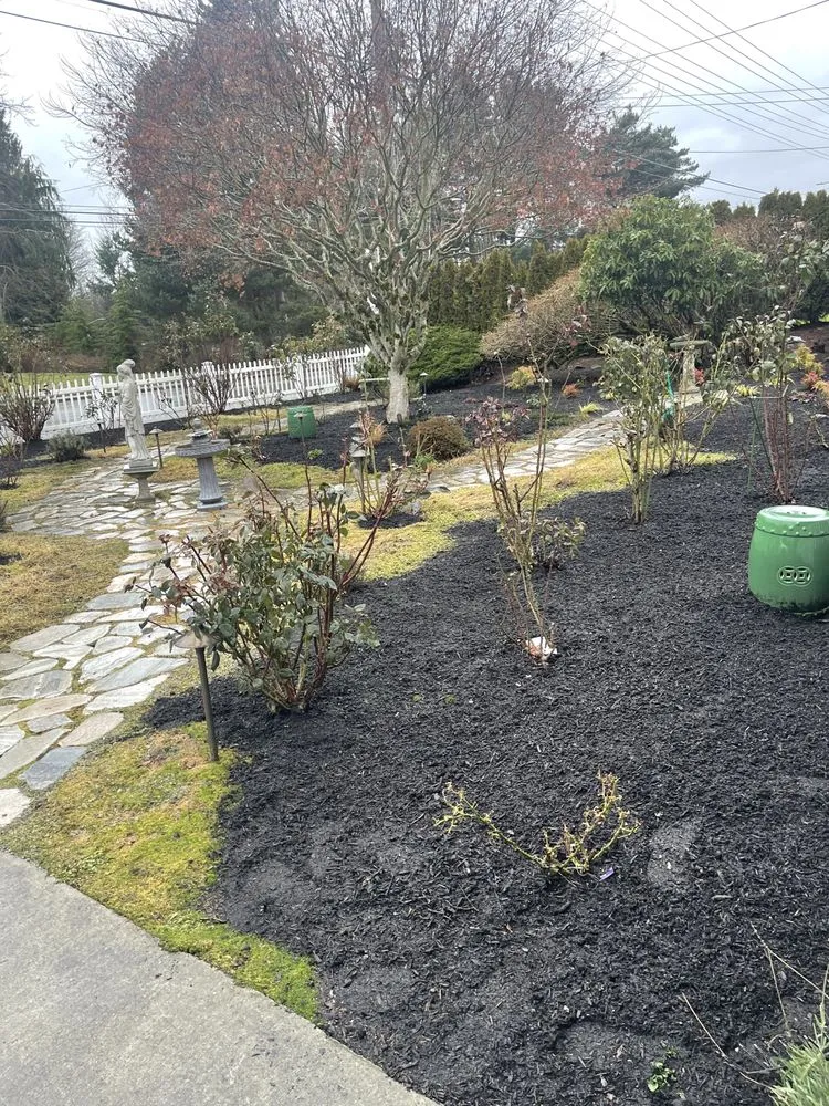Expert yard cleanup service in Everett, WA - EM Landcare