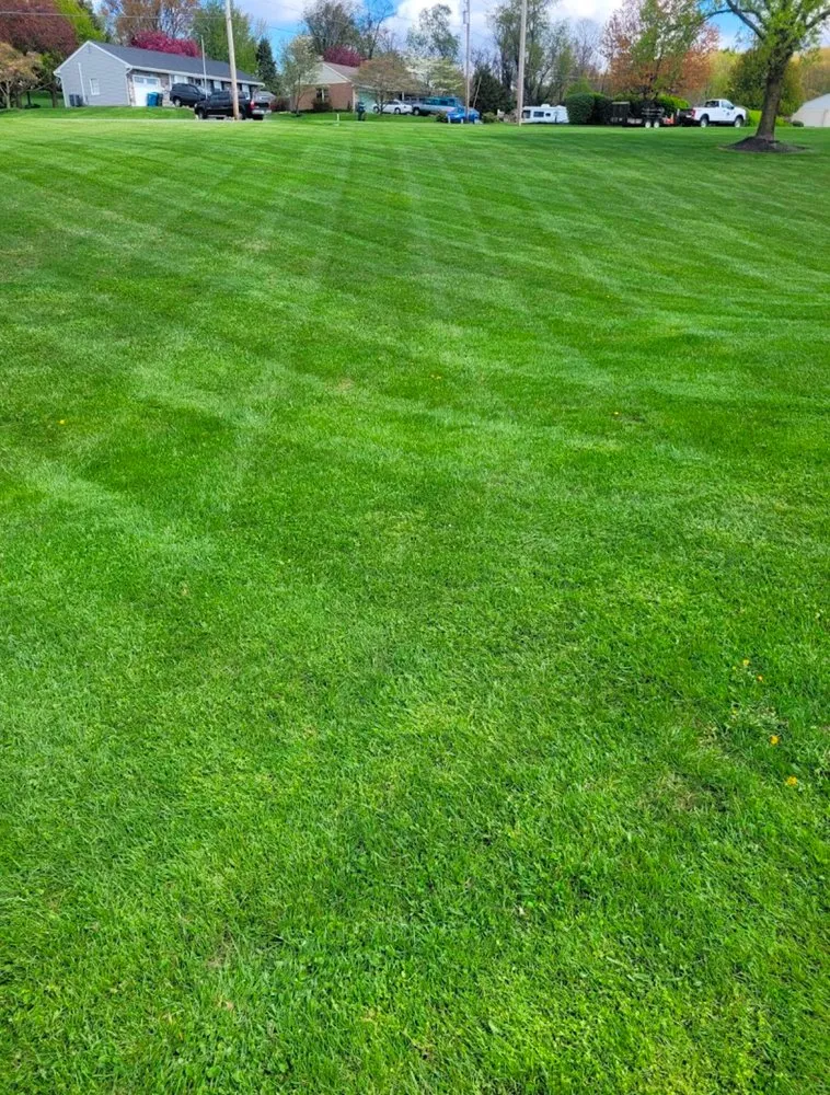 Expert yard maintenance for outdoor upgrades across Columbia, PA - E&M Landscape and Lawn Care