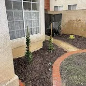 Affordable lawn care service in Cerritos, CA by EM Landscaping