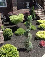 Trusted yard cleanup service near you in Cerritos, CA by EM Landscaping