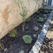 Custom landscaping services experts serving Cerritos, CA - EM Landscaping