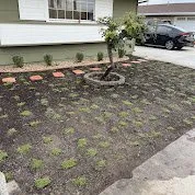 Professional residential landscaping for residential properties in Cerritos, CA by EM Landscaping