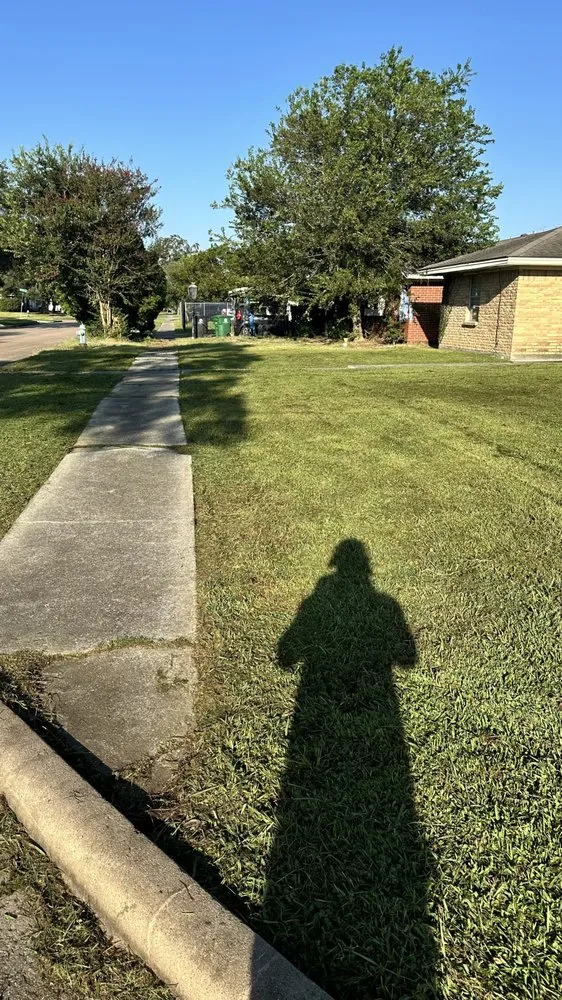 Local outdoor landscaping for year-round maintenance in Pearland, TX by E&M Landscaping