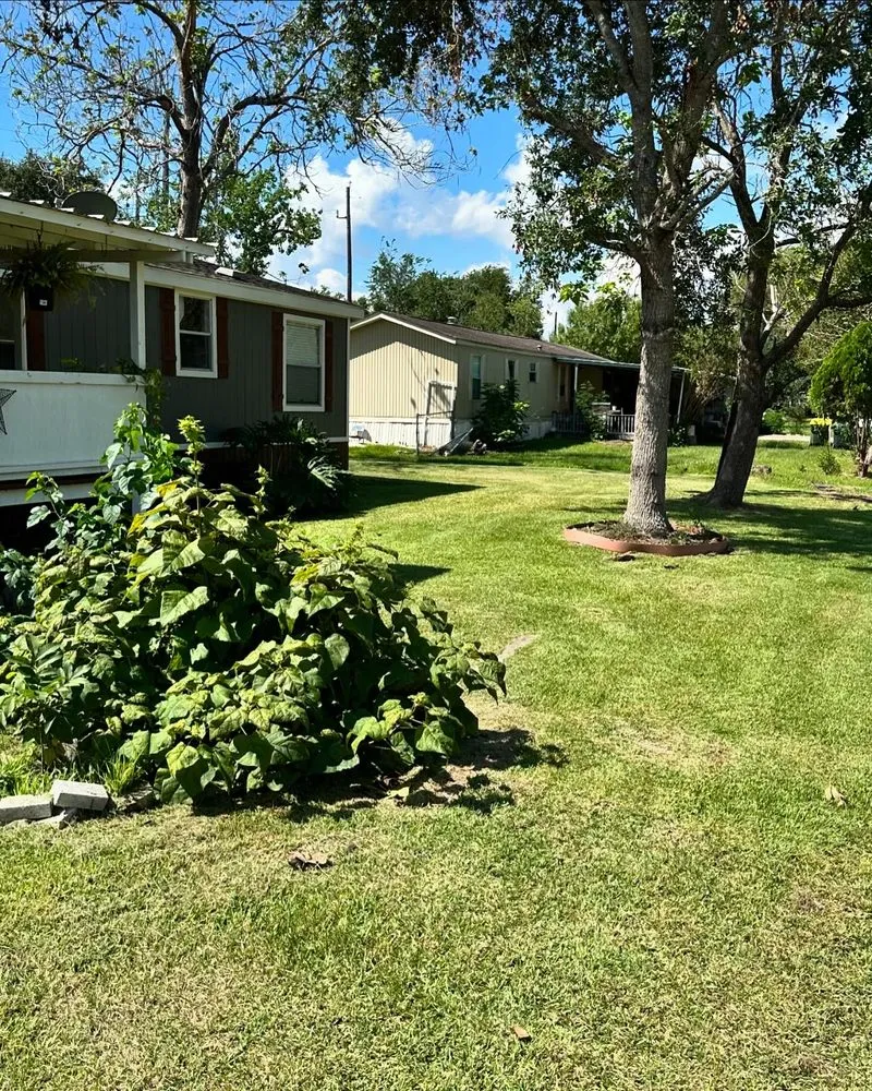 Reliable yard cleanup service in Pearland, TX by E&M Landscaping