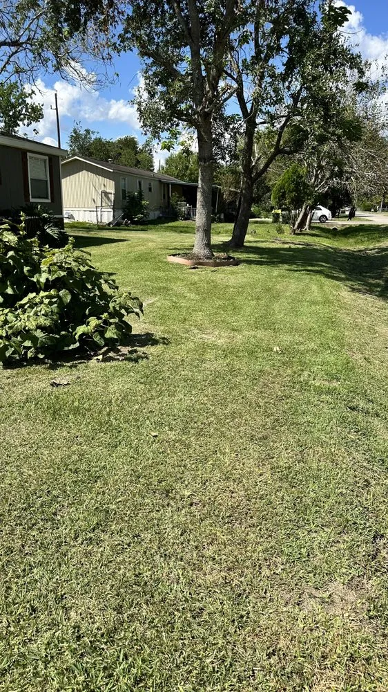 Custom residential landscaping for homes across Pearland, TX - E&M Landscaping