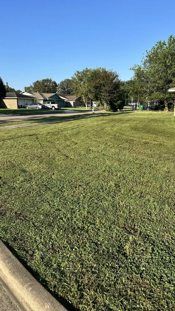 Affordable lawn care service in Pearland, TX by E&M Landscaping