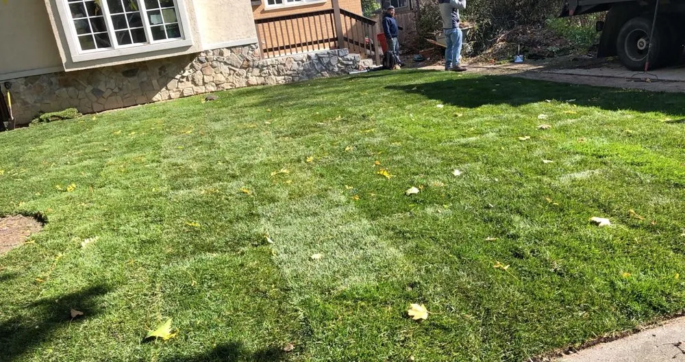 Professional residential landscaping in Waukegan, IL by EM Landscaping