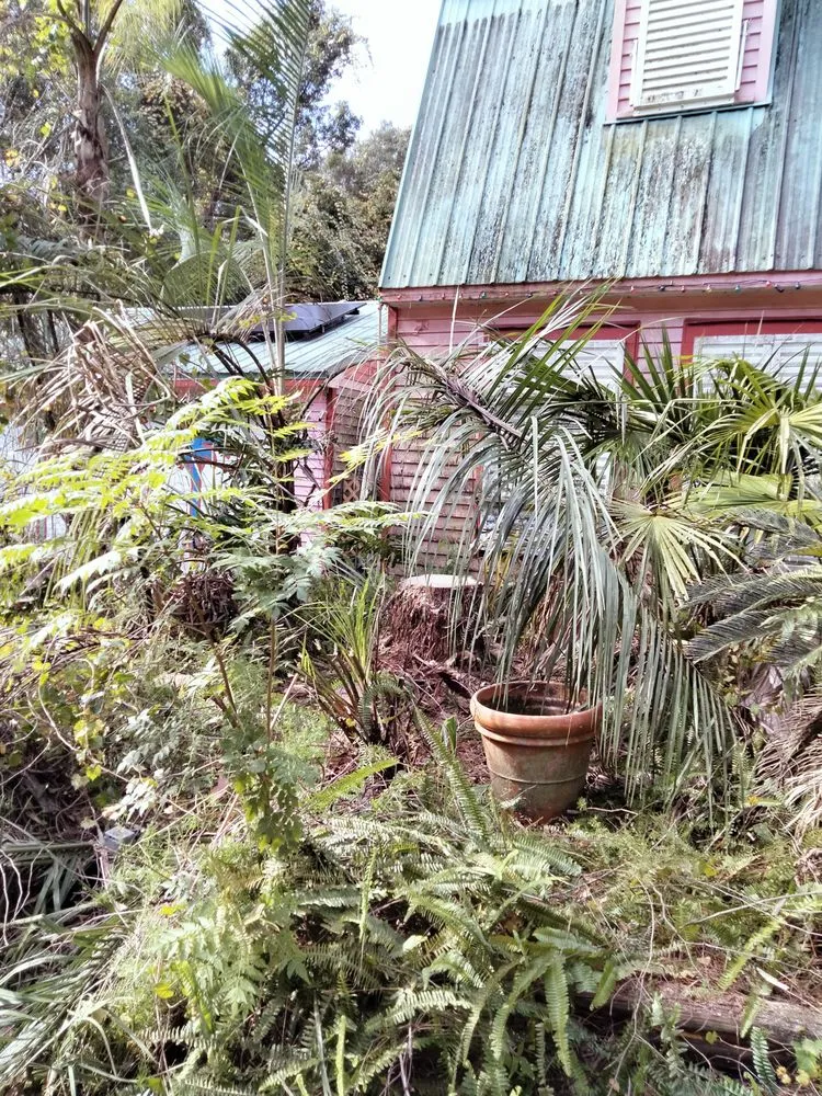 Professional residential landscaping for outdoor upgrades across DeLand, FL - E&M Lawn & Tree Service