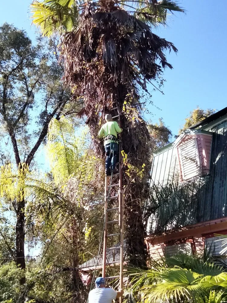 Reliable lawn mowing service for outdoor upgrades in DeLand, FL by E&M Lawn & Tree Service