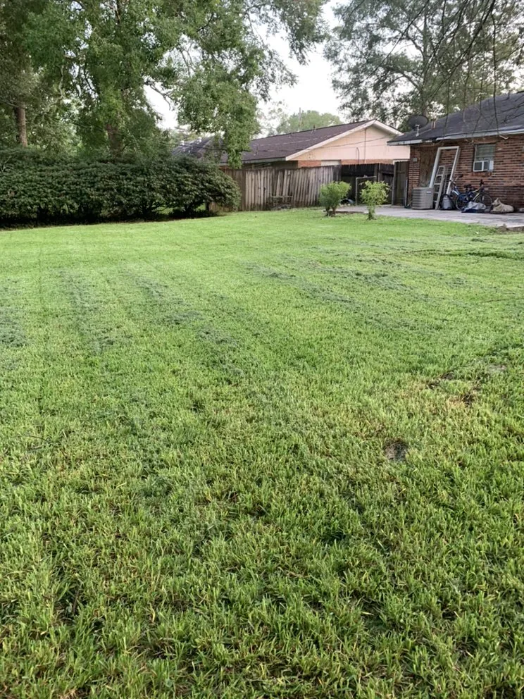 Custom yard cleanup service in Baton Rouge, LA by E&M Lawn Care Landscanping