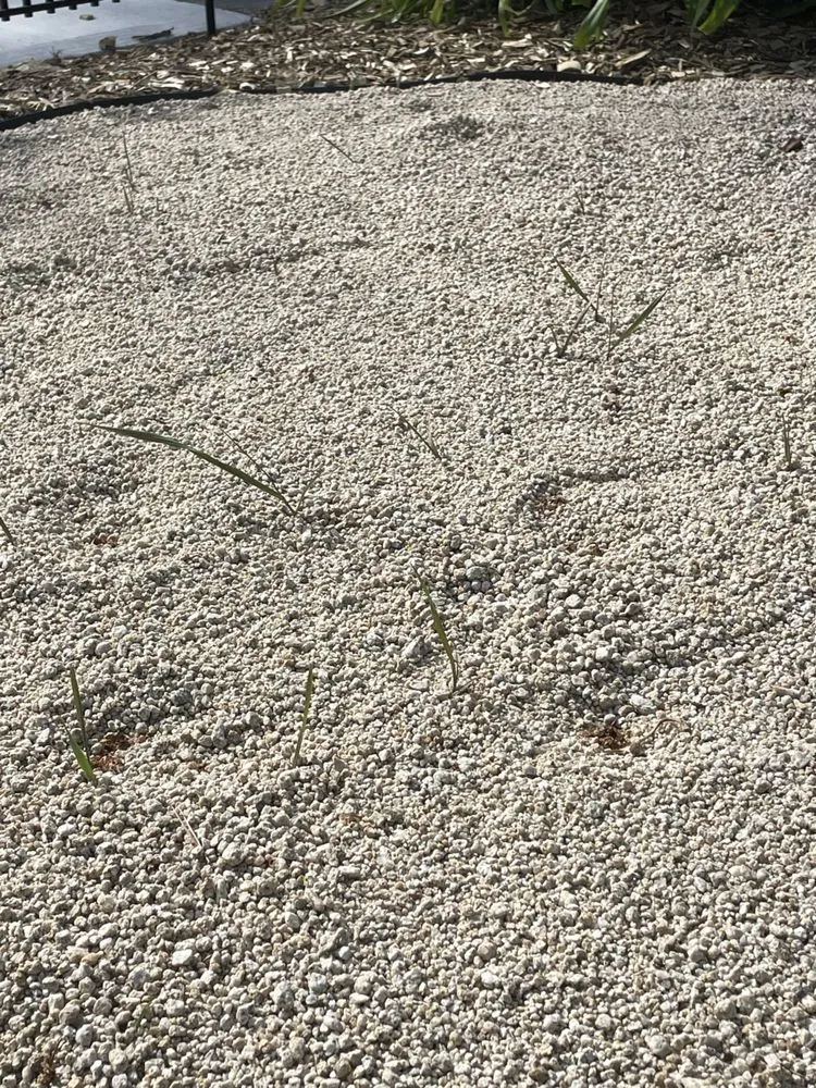 Trusted yard cleanup service with custom design in Spanish Springs, NV by Em Lawns