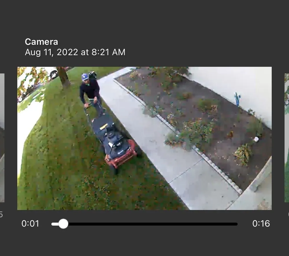 Trusted yard cleanup service in Spanish Springs, NV by Em Lawns