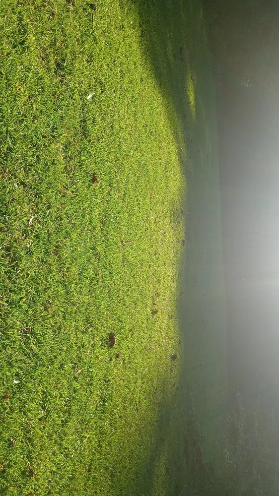 Reliable landscape installation for year-round maintenance across Pell City, AL - E&M lawnscaping