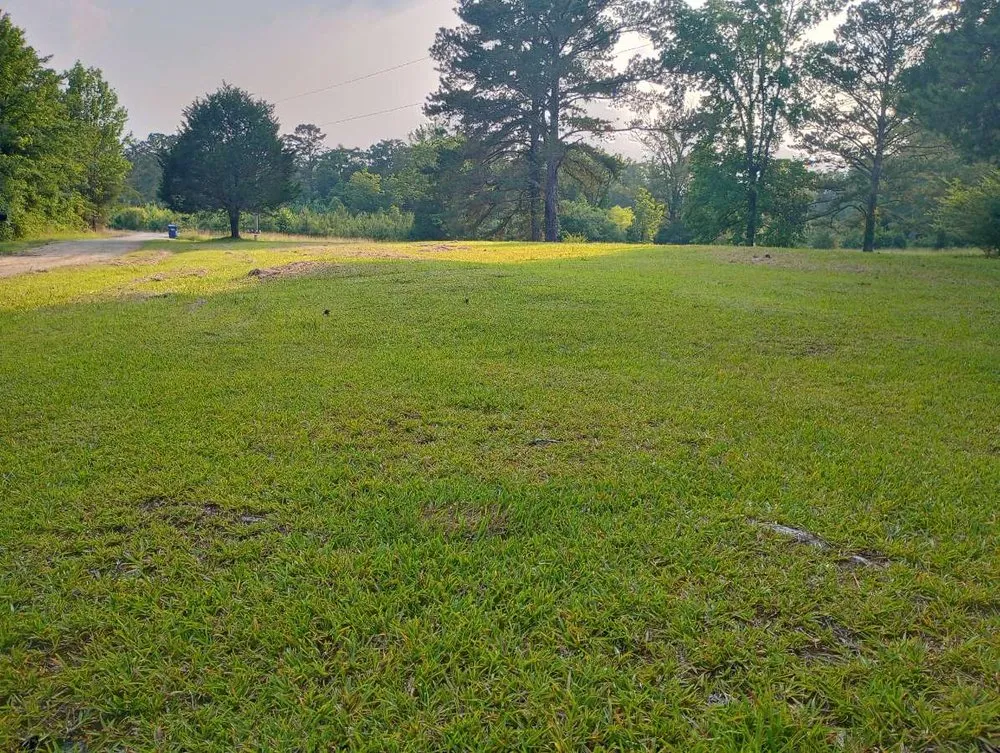 Professional lawn mowing service for beautiful yards in Pell City, AL by E&M lawnscaping