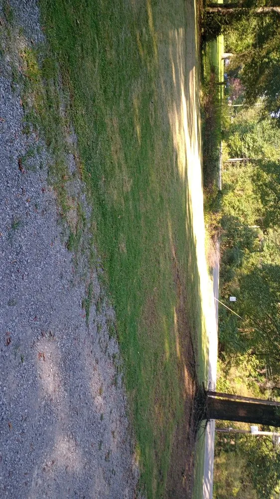 Affordable landscape installation in Pell City, AL by E&M lawnscaping