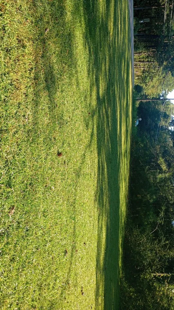 Custom yard maintenance experts serving Pell City, AL - E&M lawnscaping